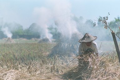 nikon-f80-spiegelreflexkamera-kit-nikkor-50mm-f1-8-af image 3