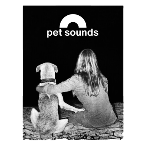 alberto-vieceli-pet-sounds-bildband-plattencover-320-seiten image 1