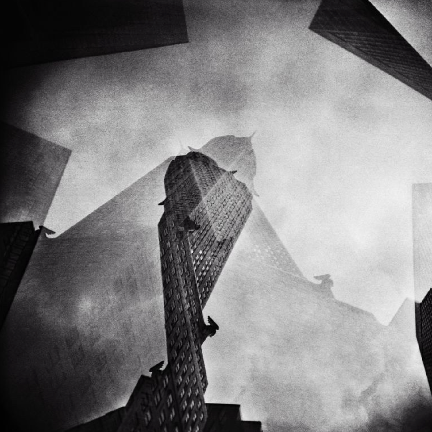 holga-120-gcfn-analogkamera-mittelformat-mit-blitz image 4