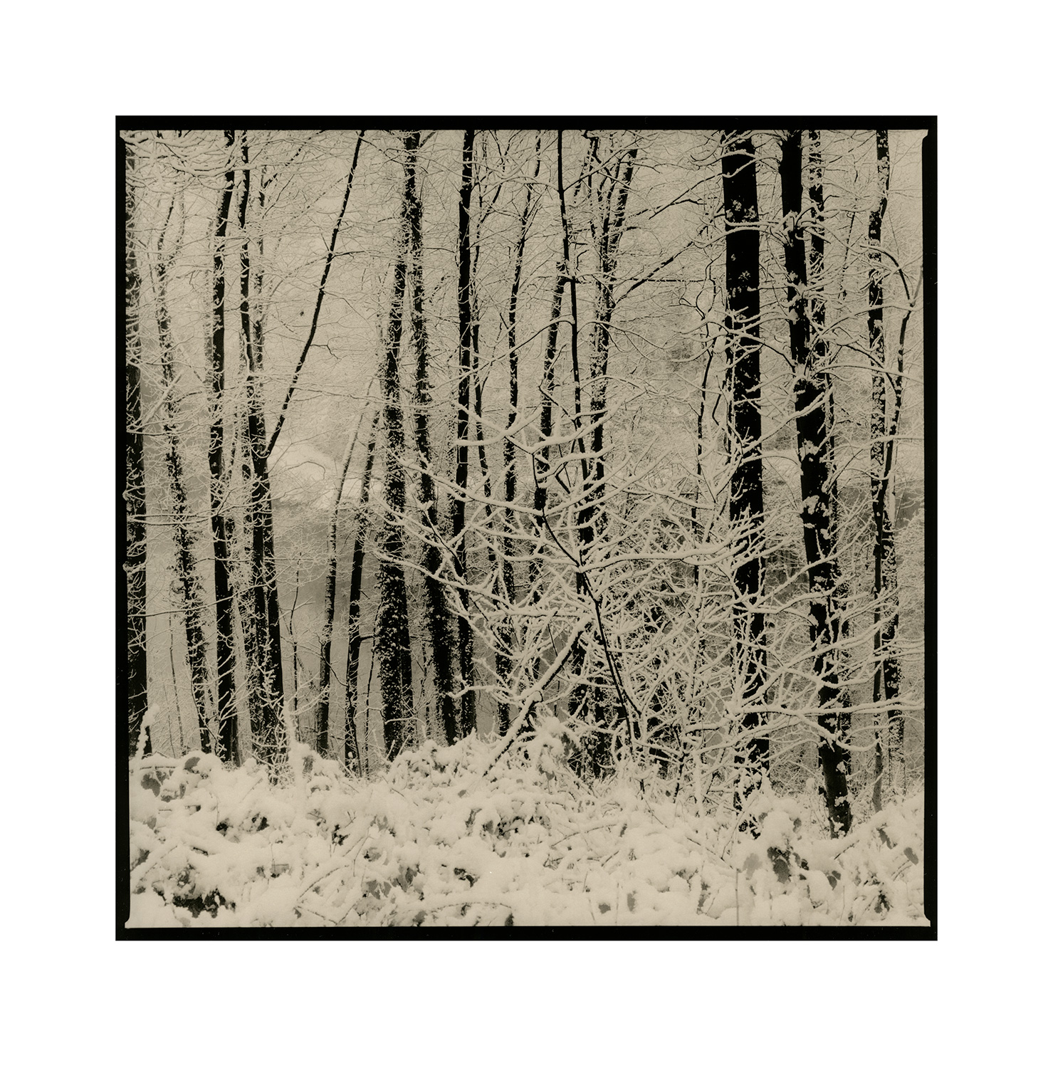 moersch-lith-new-catechol-lithentwickler-kit-brenzkatechin image 6