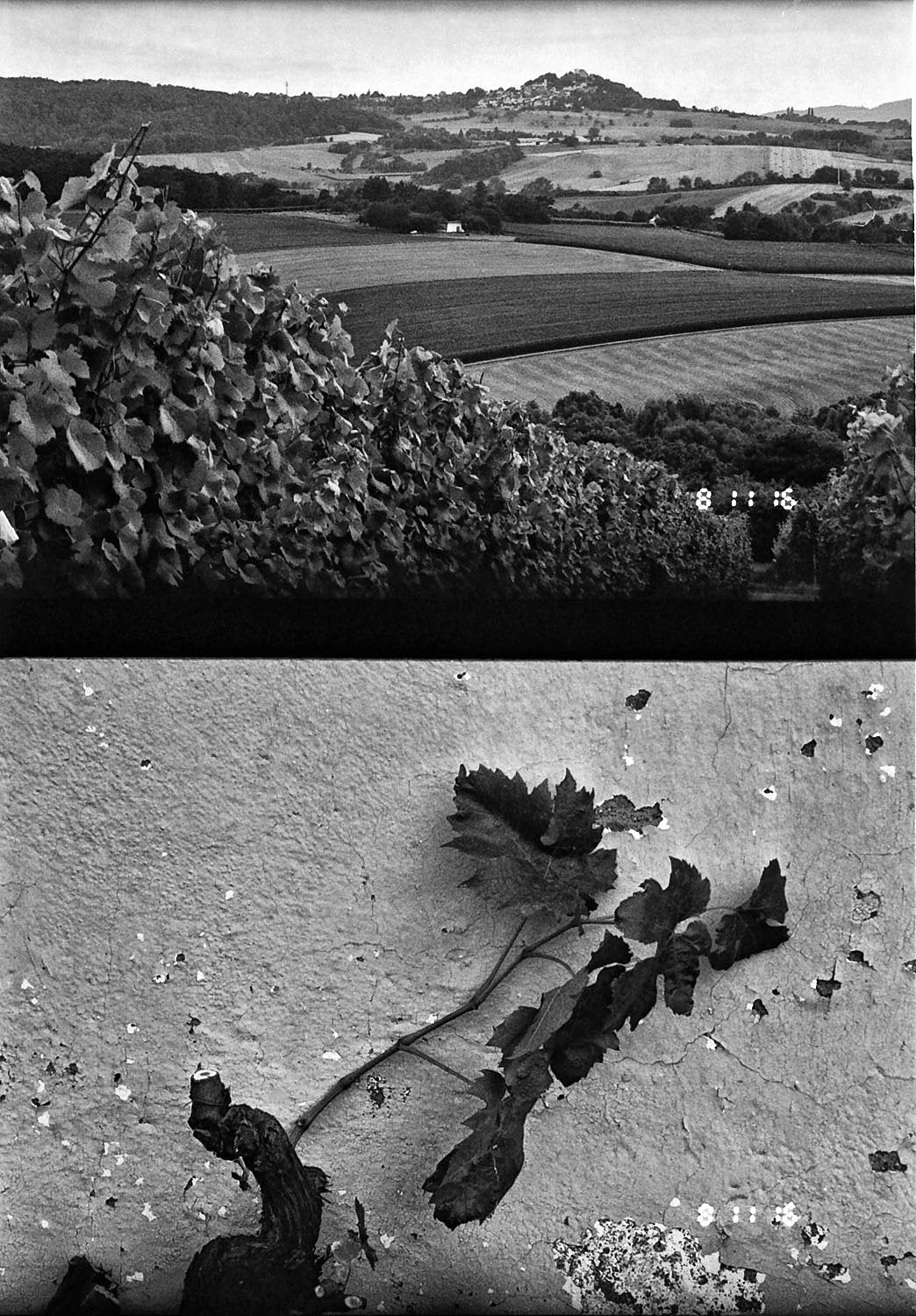 kyocera-samurai-x3-0-halbformatkamera-25-75mm-zoom image 2