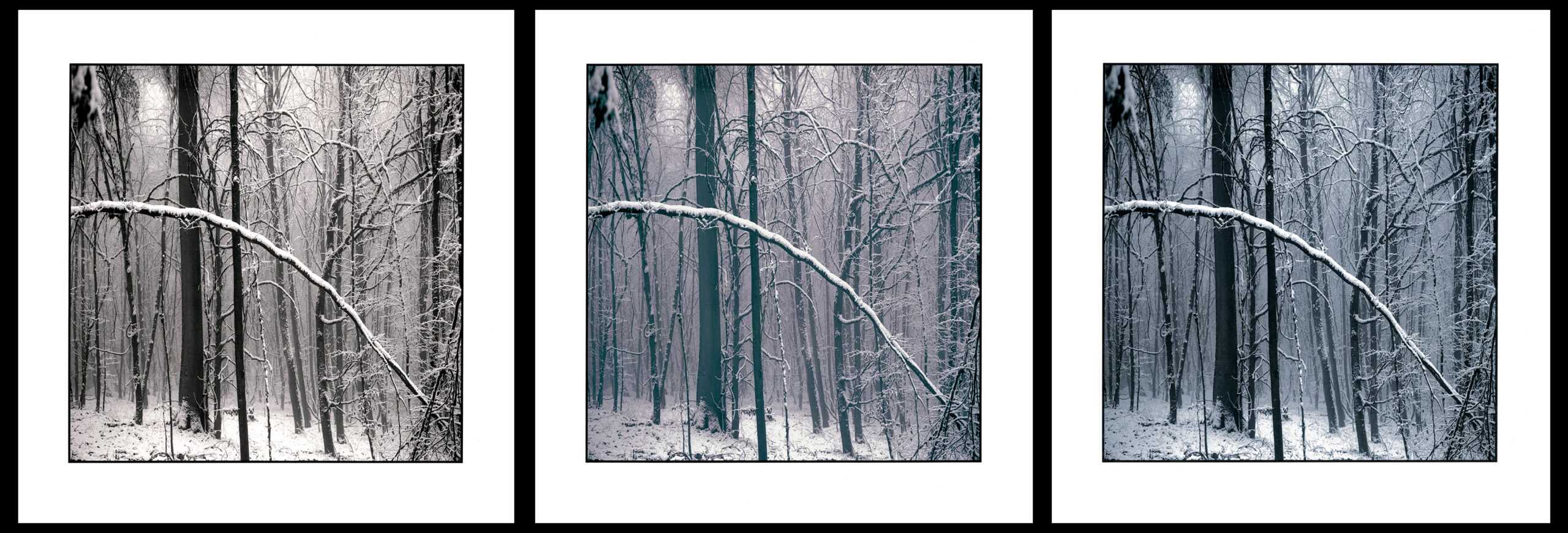 moersch-mt12-kobalttoner-fototoner-violett-blau-kit image 2