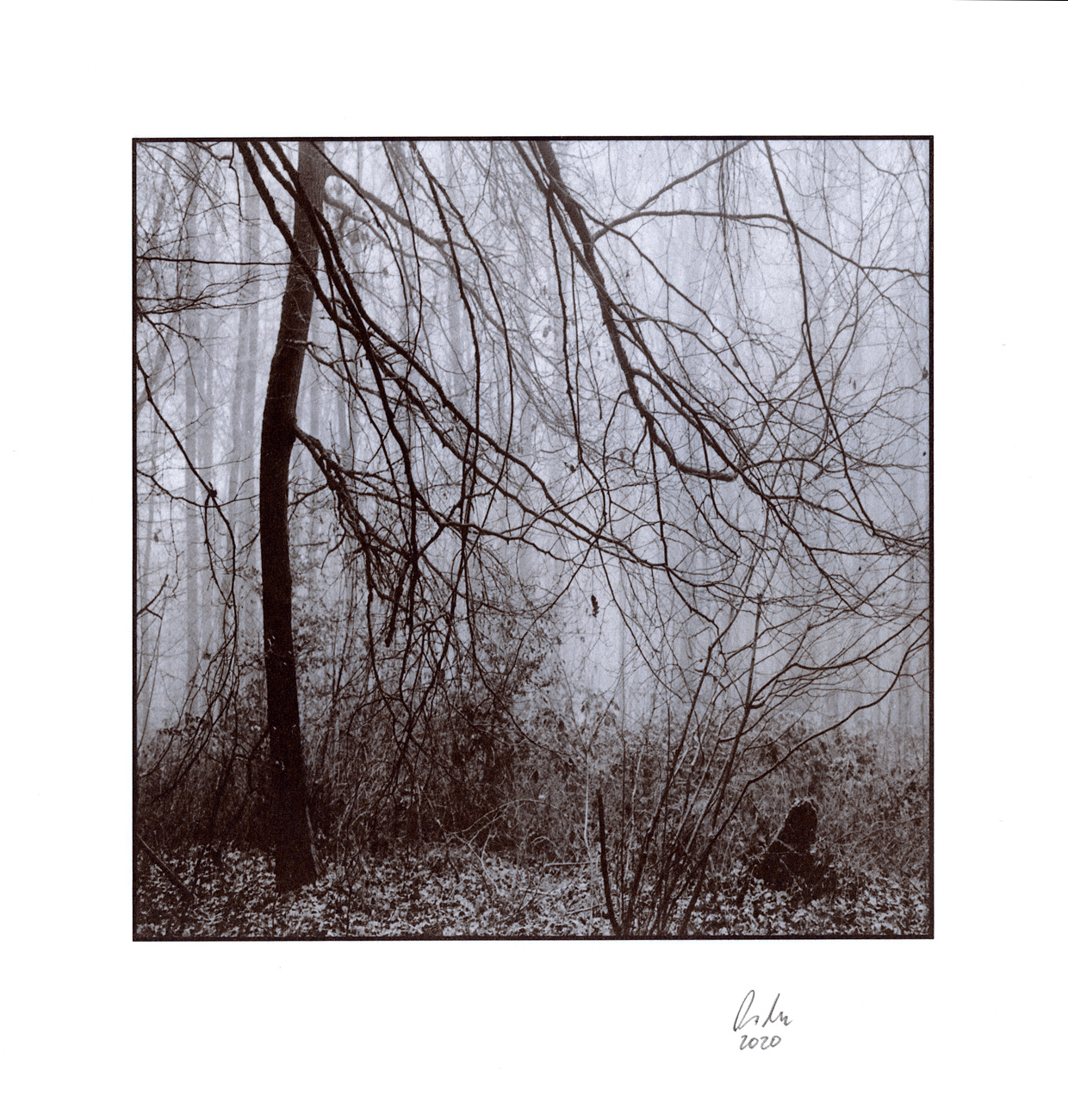 moersch-mt12-kobalttoner-fototoner-violett-blau-kit image 5