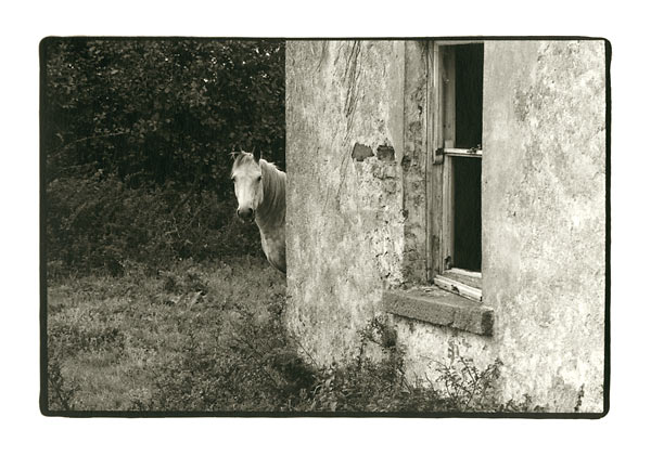 moersch-se30-meritol-positiventwickler-warmbraun image 3