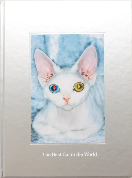 dubblefilm-the-best-cat-in-the-world-buch-hardcover-katzen image 1