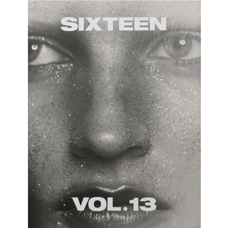 dubblefilm-sixteen-vol-13-magazin-golden-record-272-seiten image 1