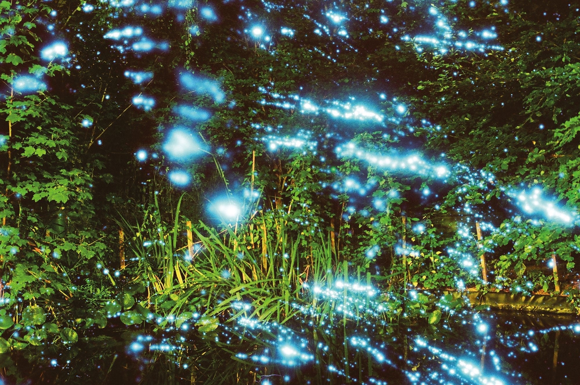 revolog-kosmos-effektfilm-35mm-blauer-sterneneffekt image 6