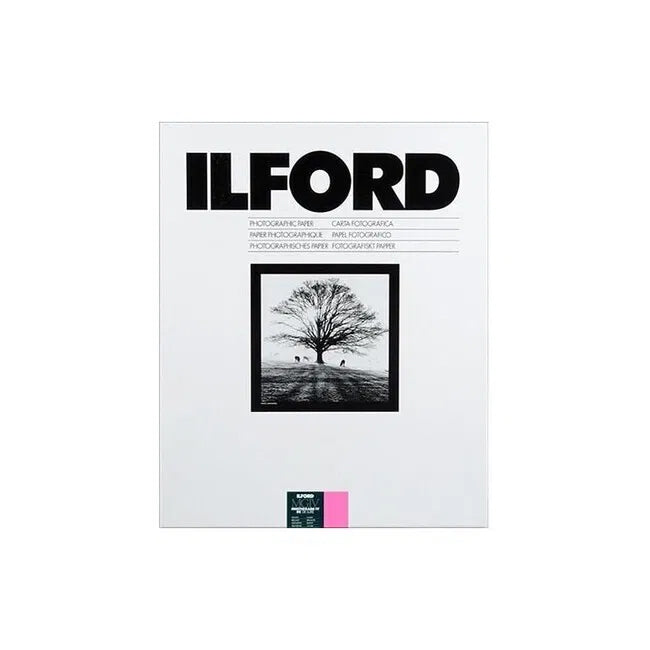 ilford-multigrade-rc-deluxe-fotopapier-24x30-5-gl-nzend-10-blatt image 1
