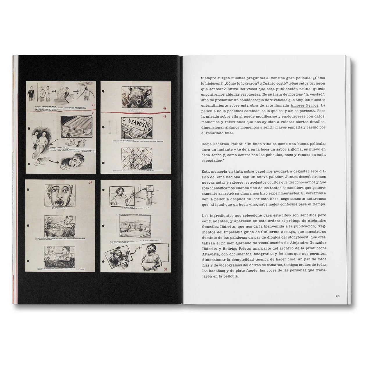 desatar-amores-perros-filmbuch-spanisch-i-rritu image 4