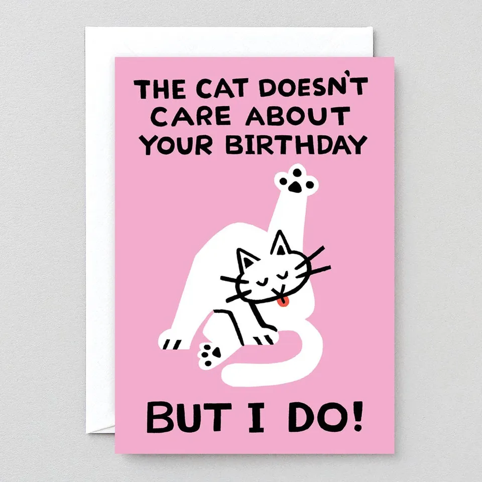 wrap-cat-doesn-t-care-gru-karte-pink-mit-umschlag image 1