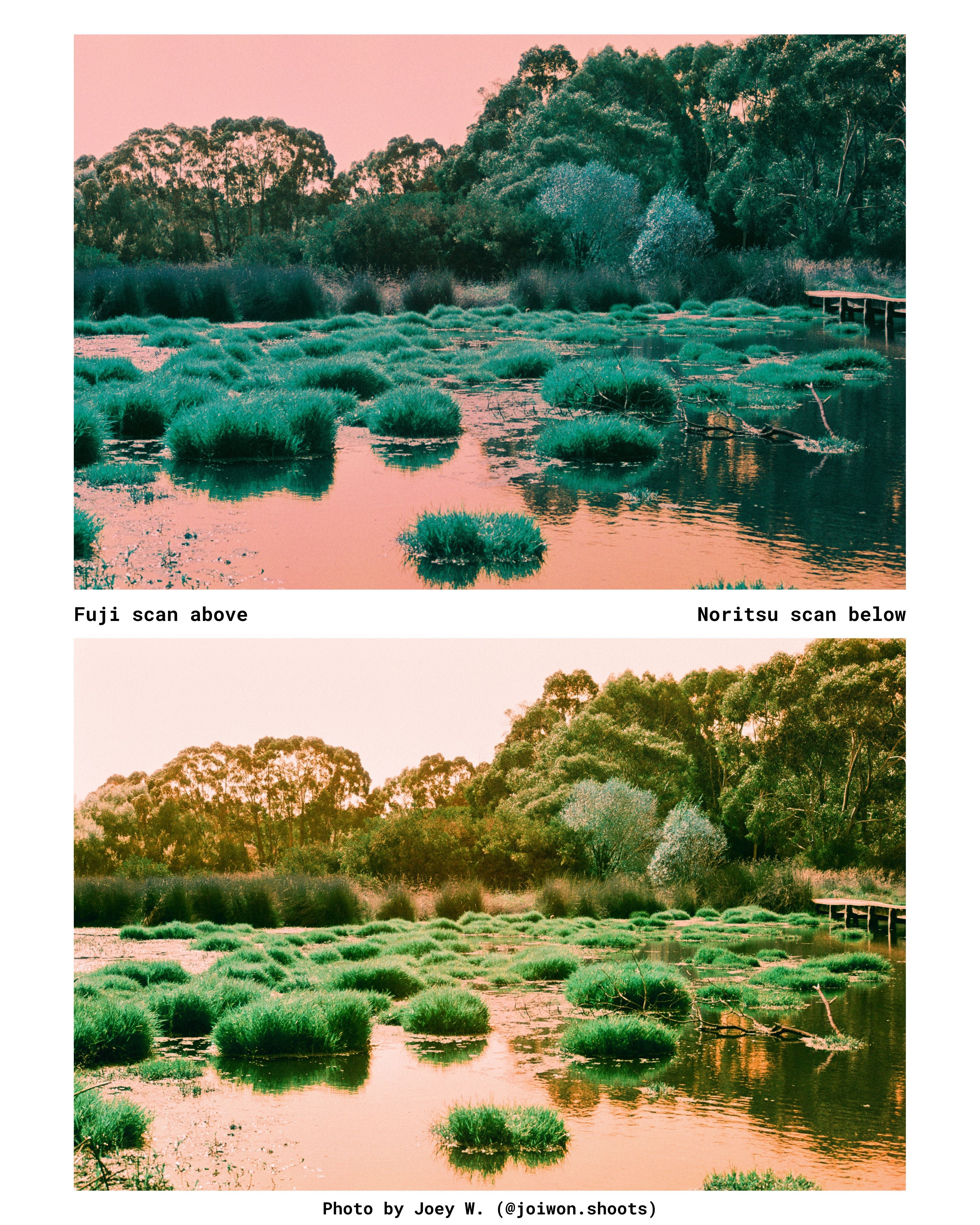 harman-switch-azure-125-farbnegativfilm-120-effektfilm image 4