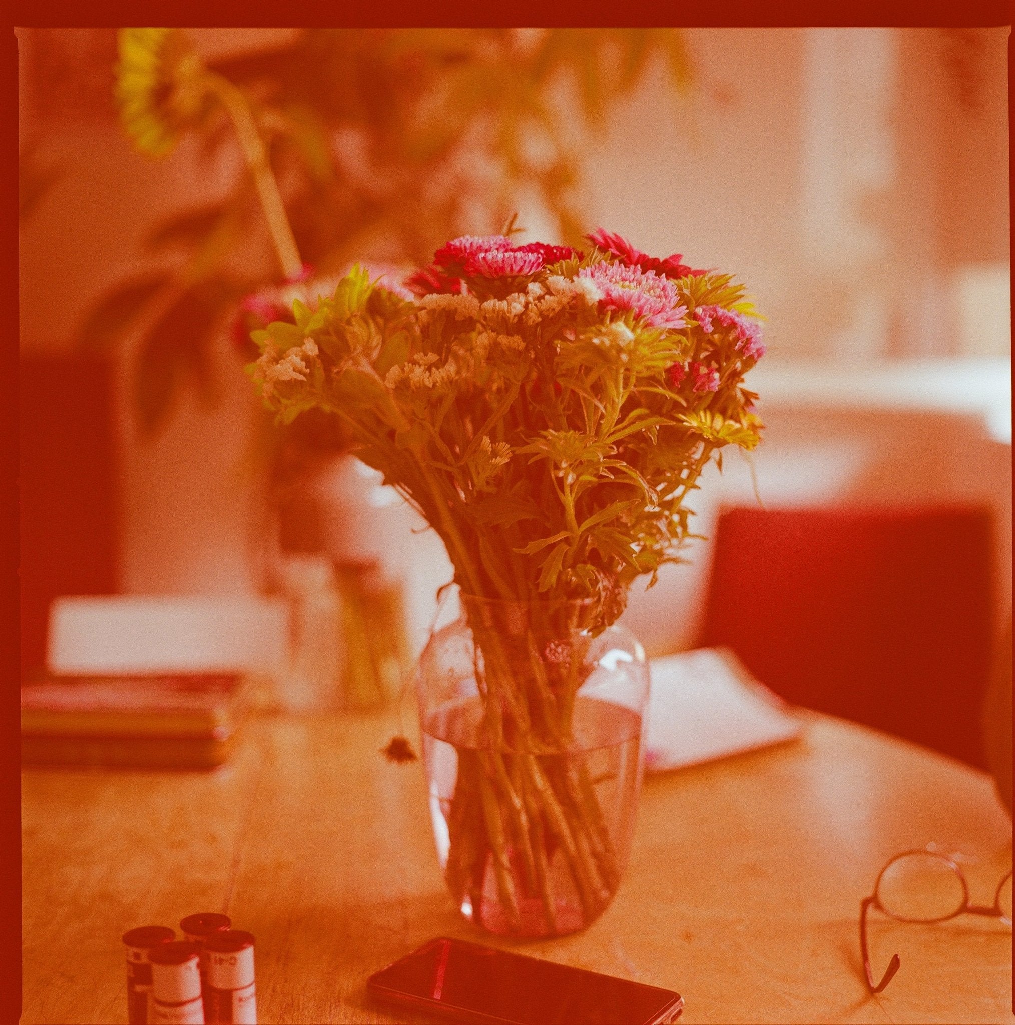revolog-600nm-120-farbfilm-mittelformat-rot-t-nung image 4