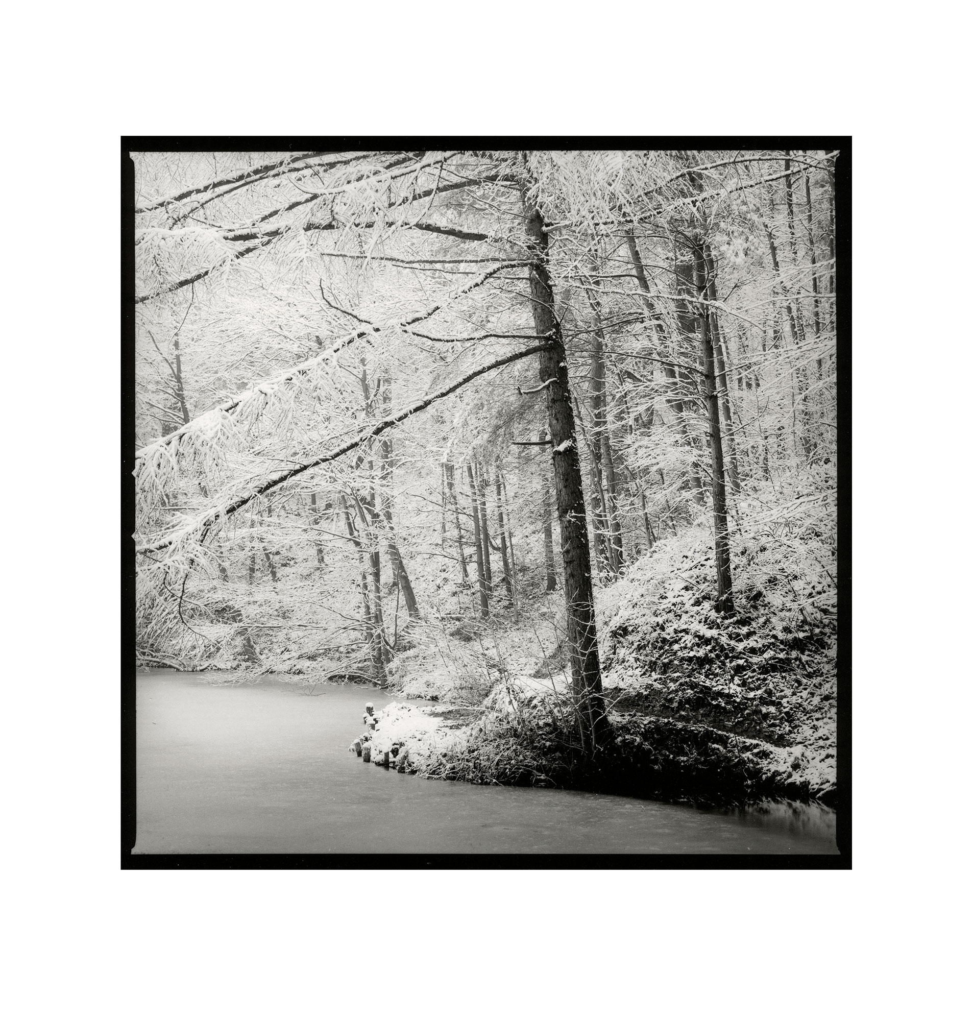 moersch-se-ecomol-papierentwickler-kontrastreich-1l-neutral image 8