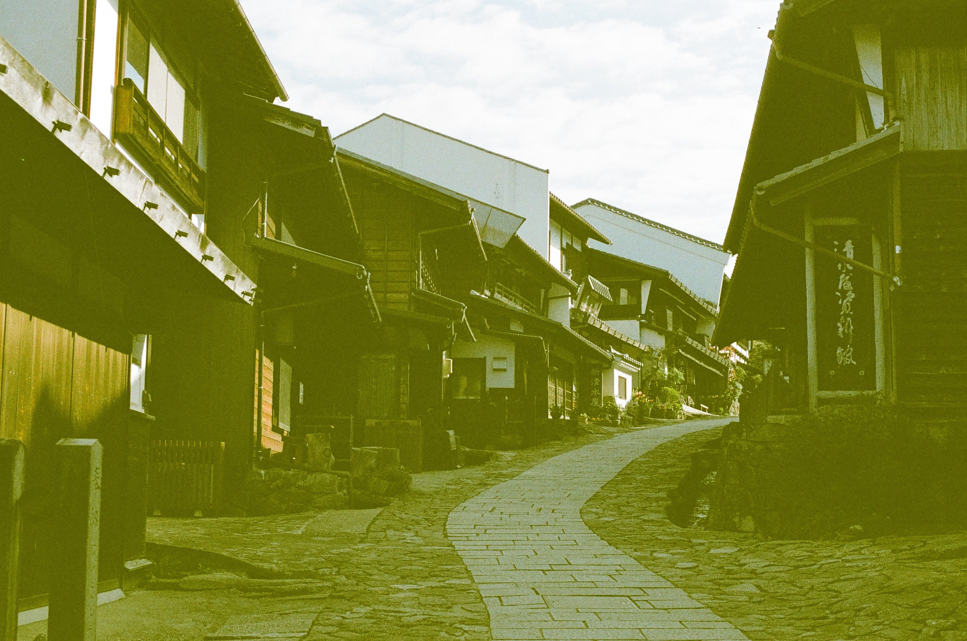 revolog-460nm-effektfilm-35mm-200-iso-36-bilder-violett image 5