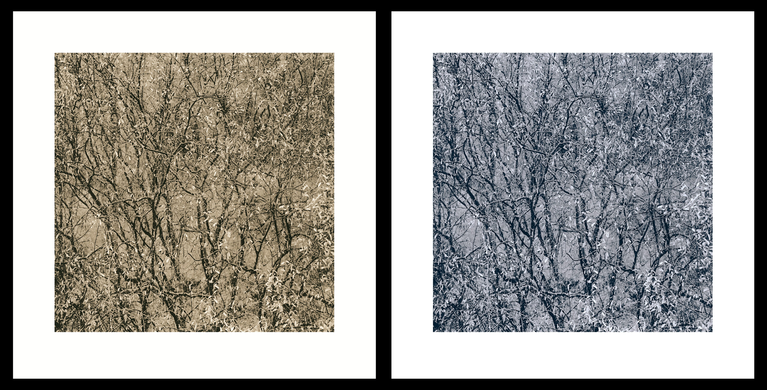 moersch-lith-g-zweitentwickler-lithentwickler-glycin-farbig image 6