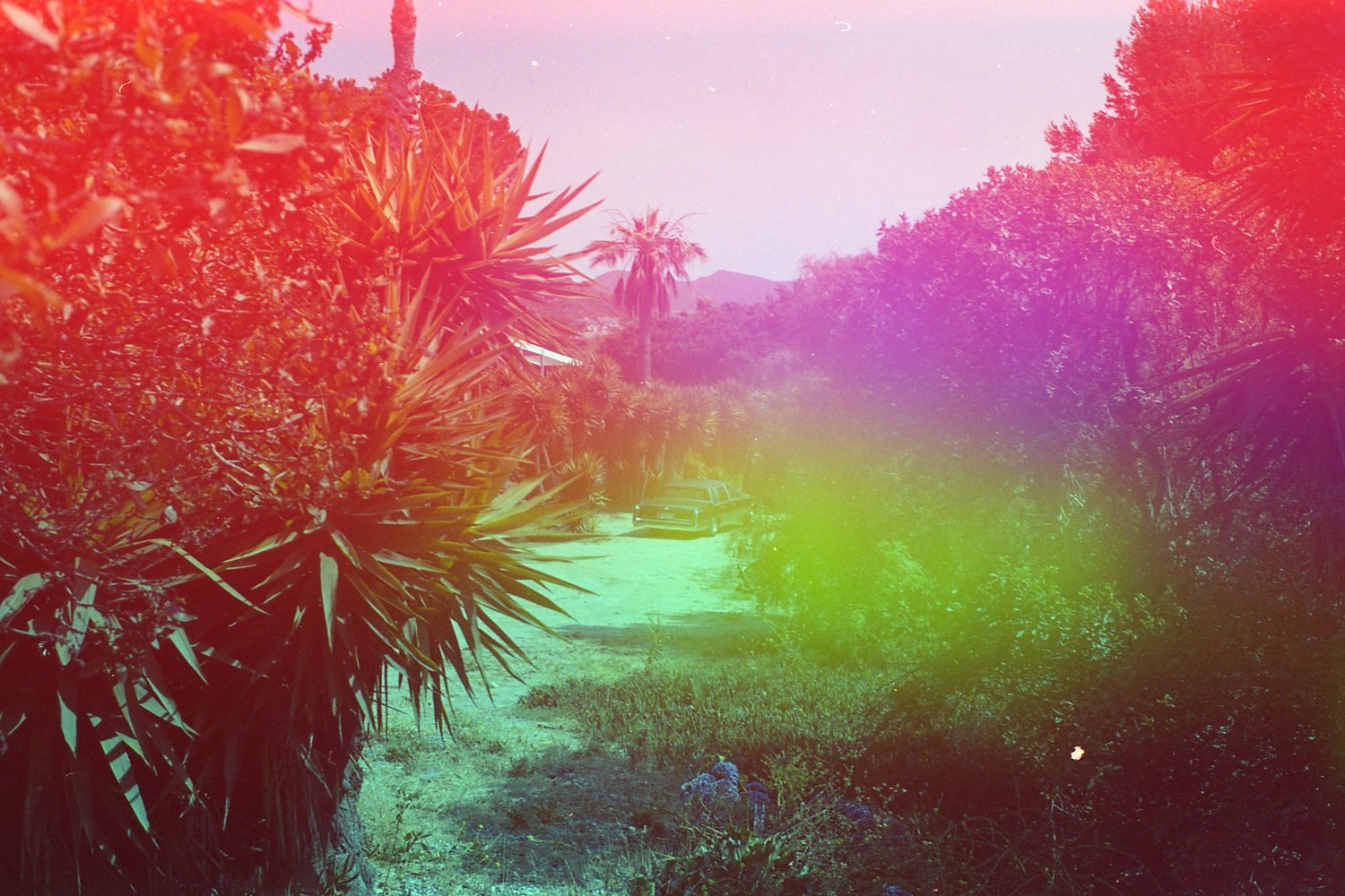 dubblefilm-psych-blues-2-iso-400-kleinbildfilm-24er-rot-gr-n image 4