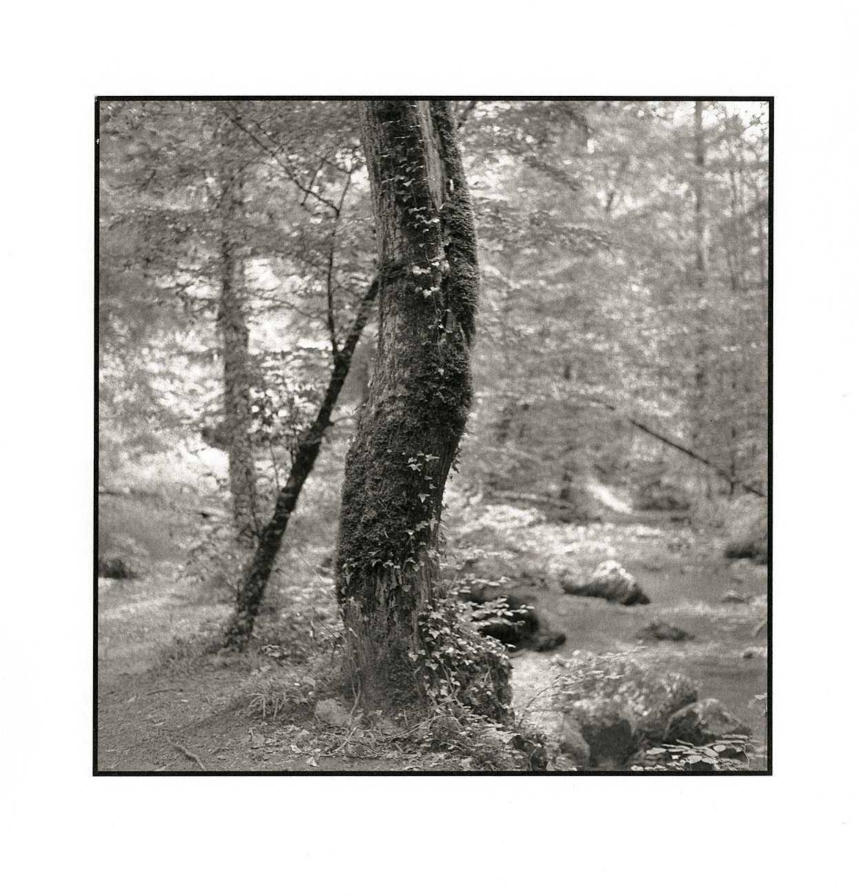 moersch-tanol-pyro-48-negativentwickler-pyrogallol image 7