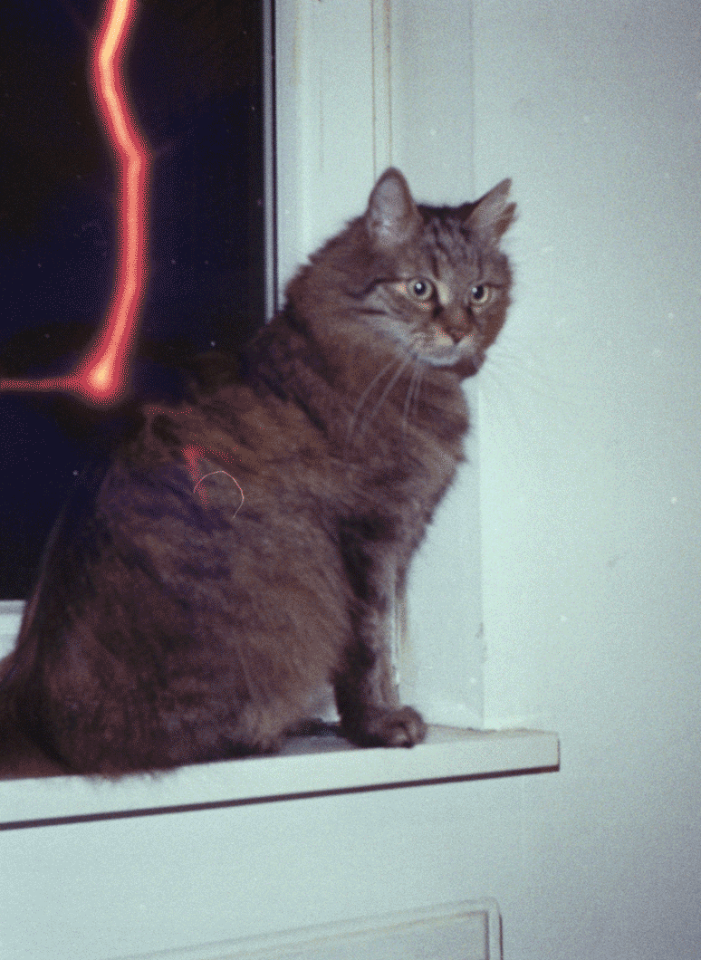 revolog-tesla-ii-35mm-farbfilm-36-bilder-iso-200-blitz image 6