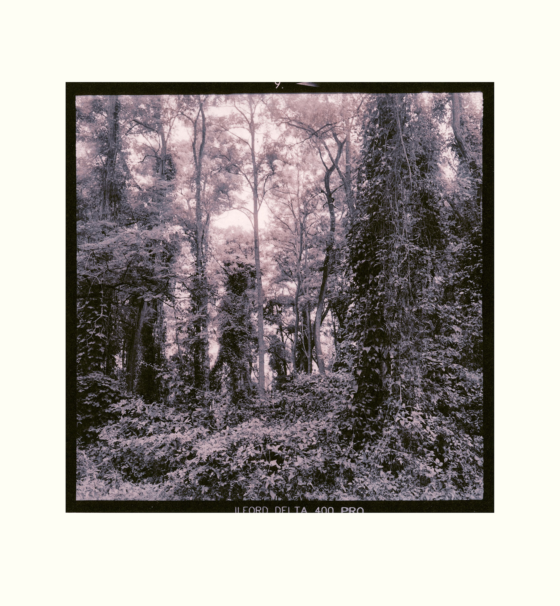 moersch-mt10-goldtoner-fototoner-kaltschwarz-archivfest image 7