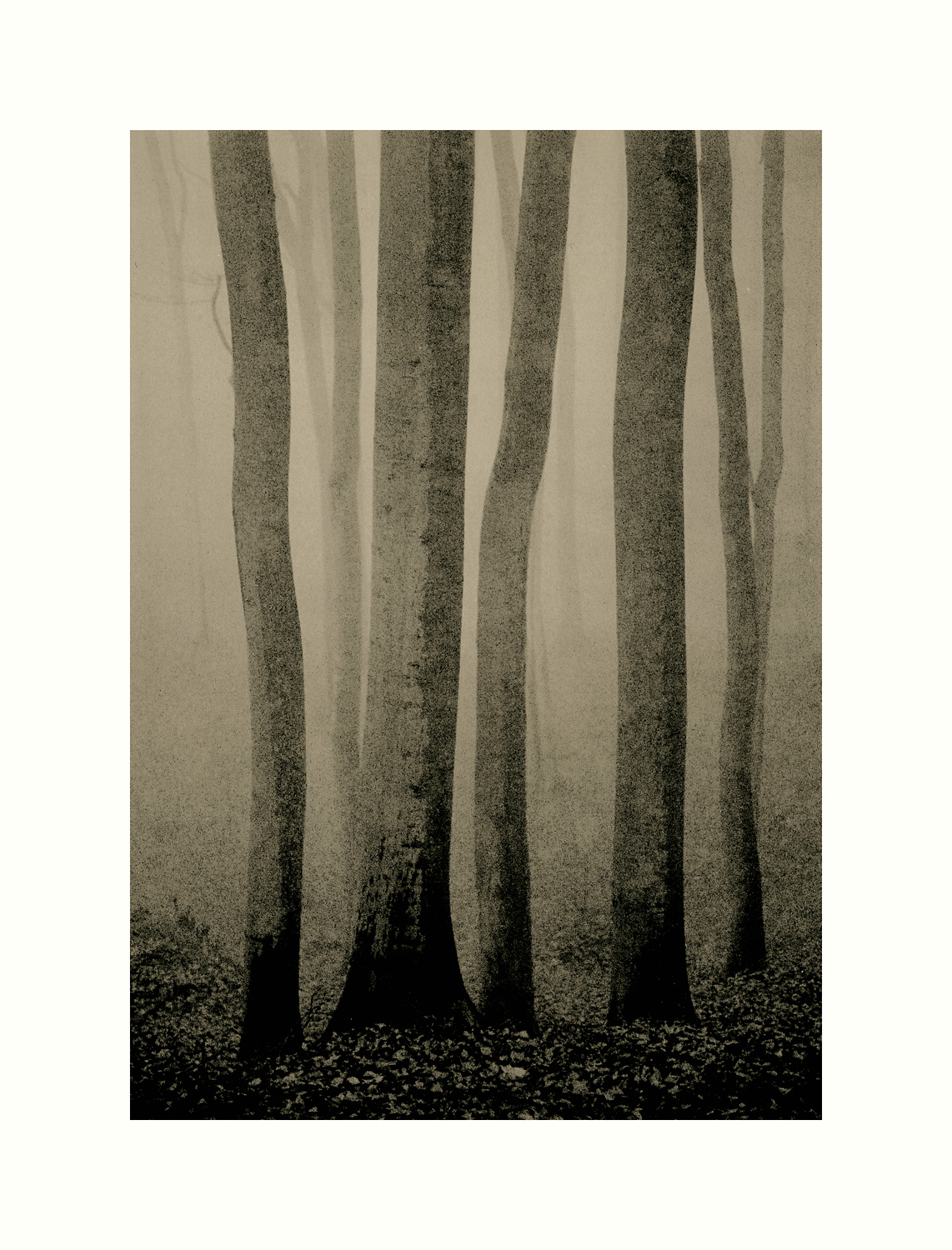 moersch-lith-g-zweitentwickler-lithentwickler-glycin-farbig image 8