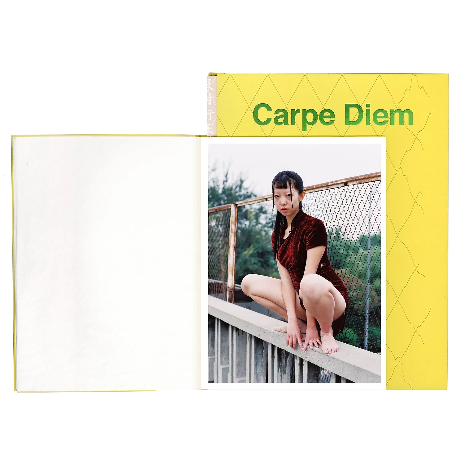 dubblefilm-books-carpe-diem-luo-yang-fotobuch-portr-ts-generation-z image 2