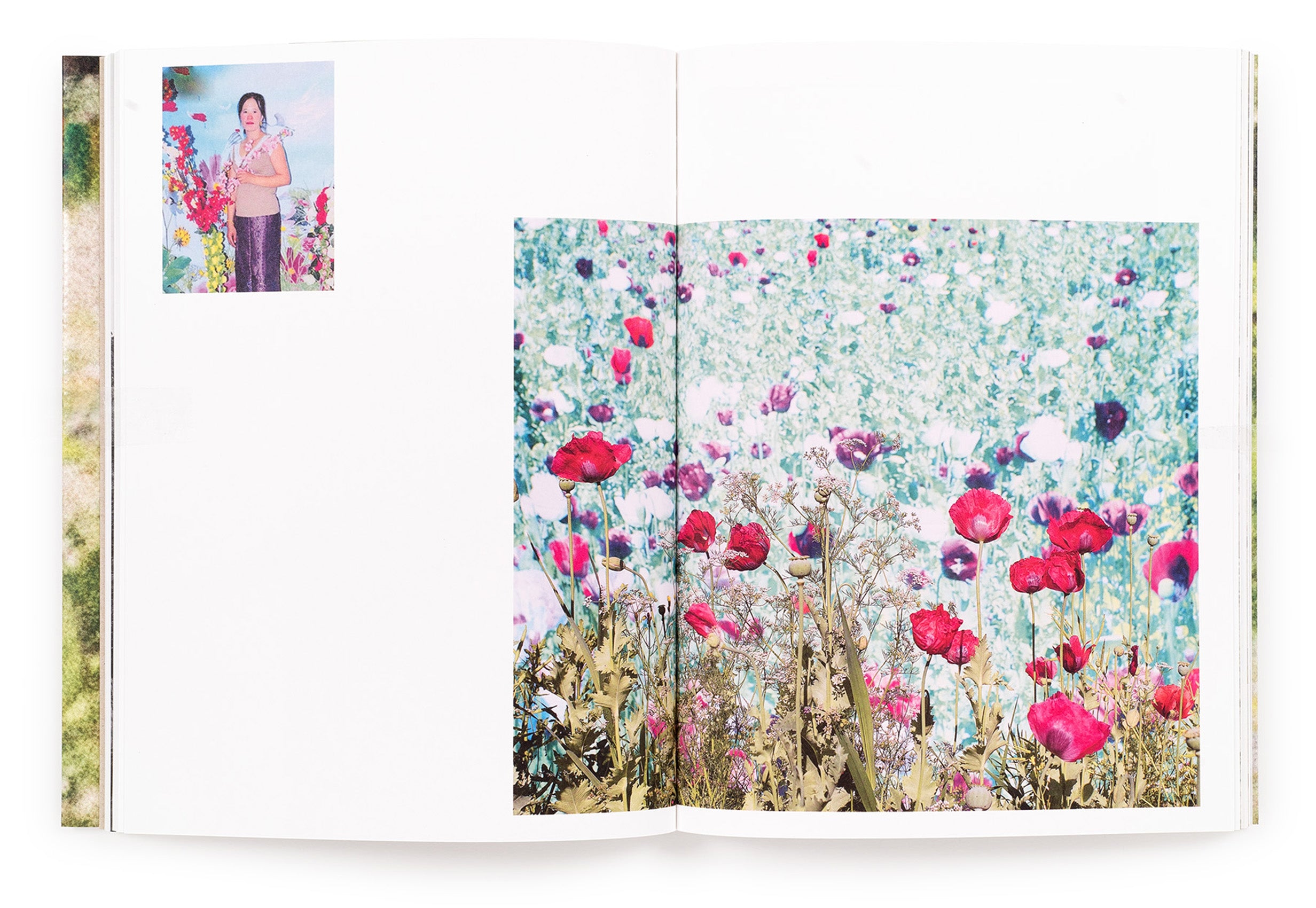 dubblefilm-pao-houa-her-fotobuch-mi-abuelo-monografie-heimat image 2