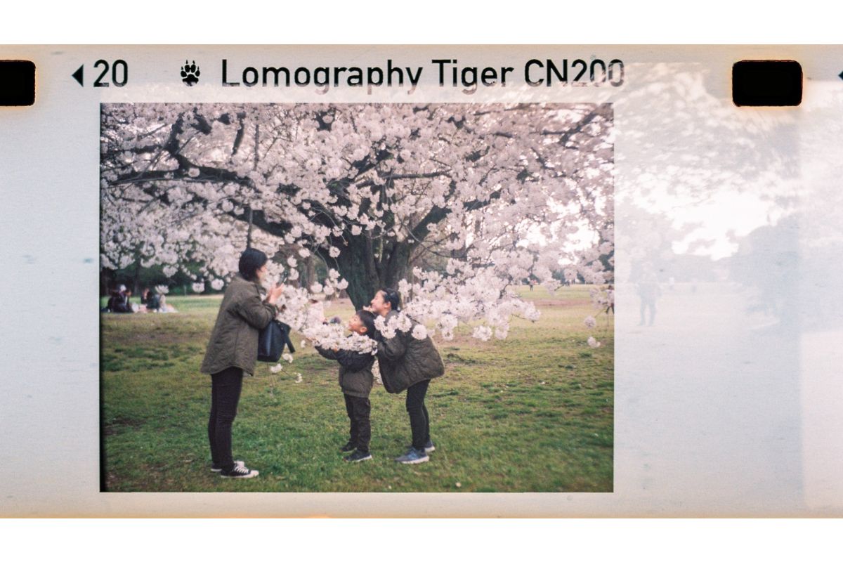 lomography-lomomatic-110-kamera-golden-gate-mit-blitz image 8