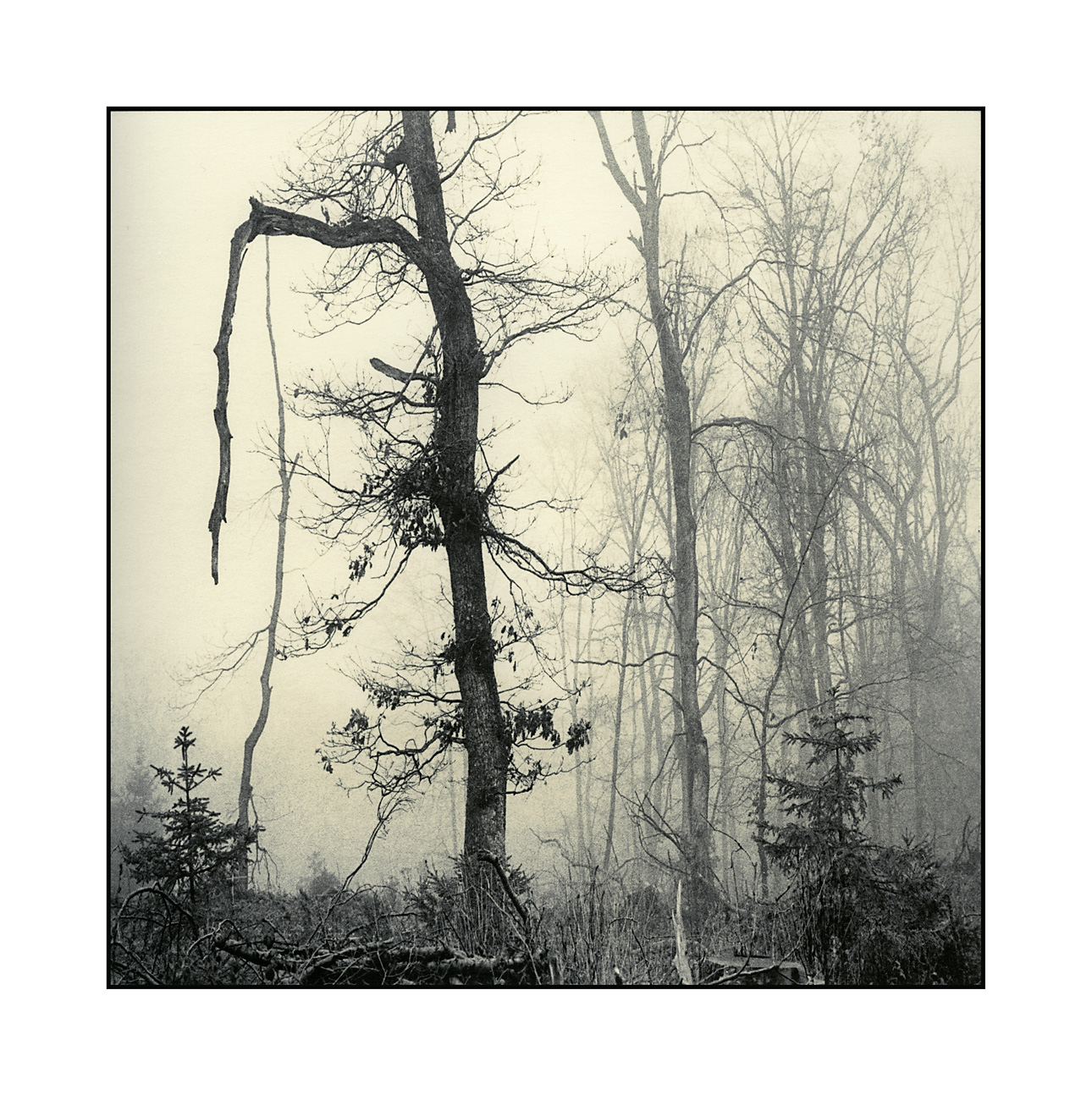 moersch-mt12-kobalttoner-fototoner-violett-blau-kit image 7