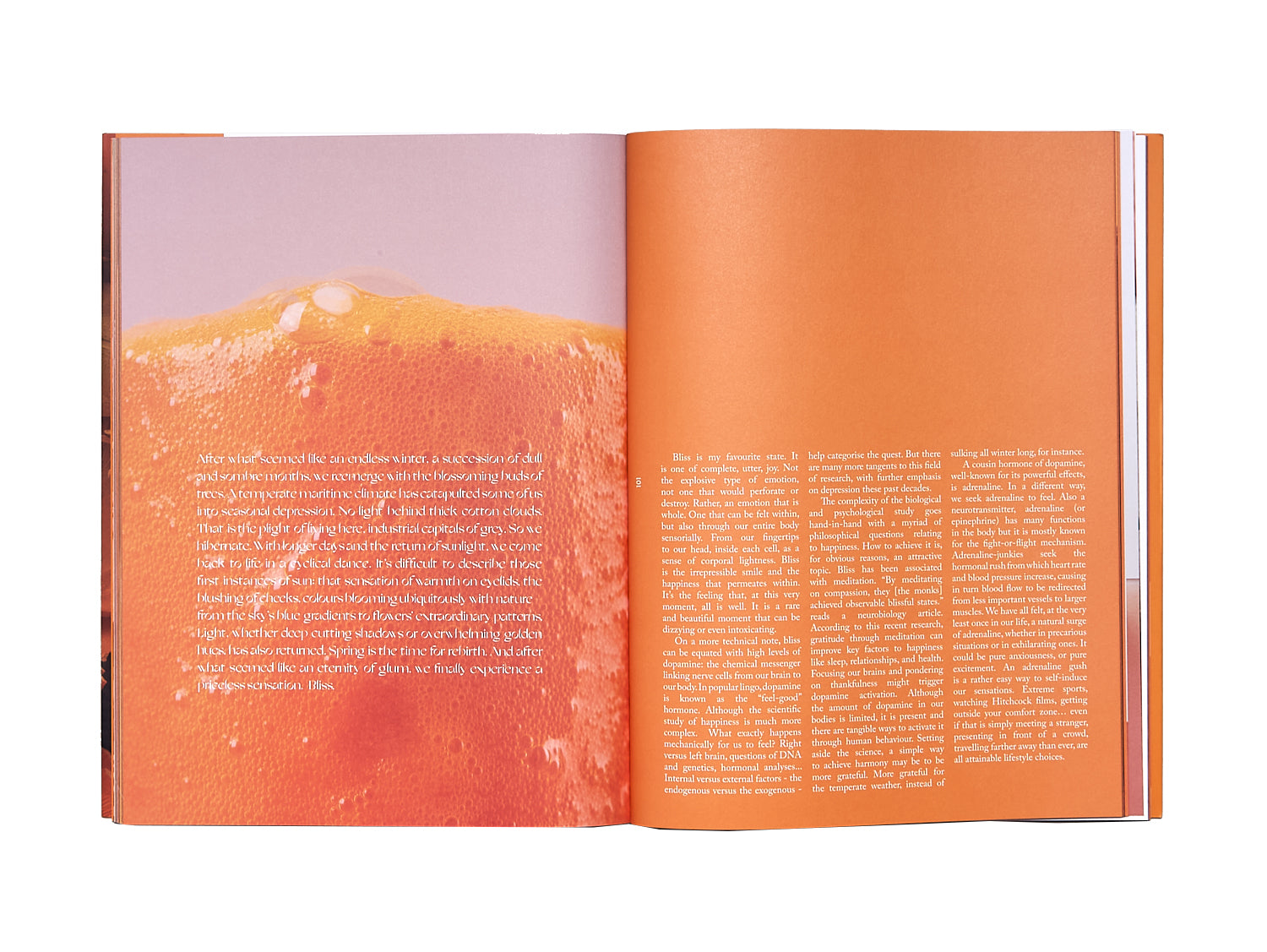sindroms-ausgabe-8-orange-magazin-170-seiten image 6