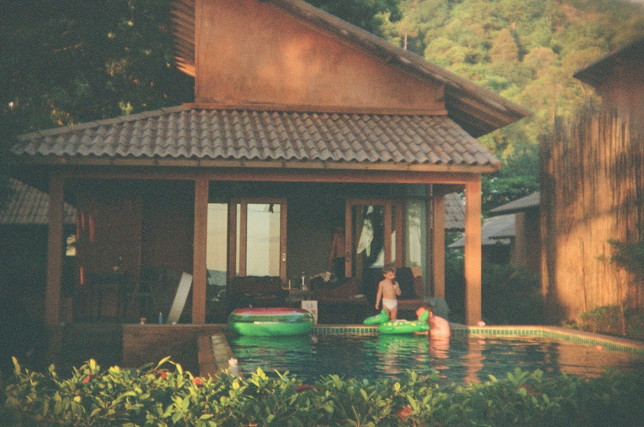 kodak-portra-800-35mm-farbfilm-800-iso-36-aufnahmen image 4