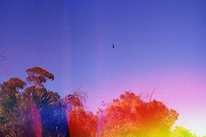 dubblefilm-psych-blues-4-iso-400-35mm-effektfilm-24-aufn image 3
