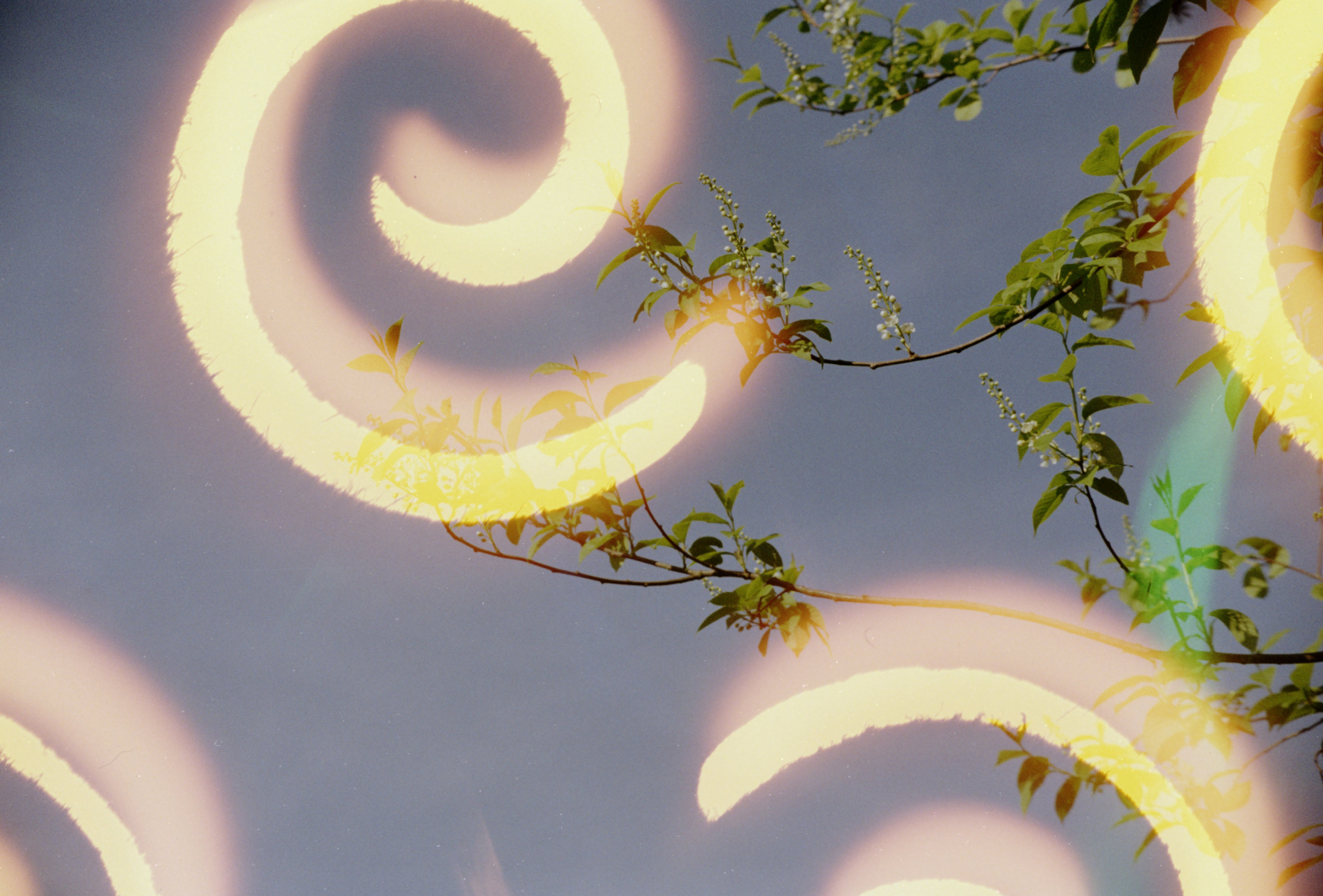 dubblefilm-hanalogital-spirals-35mm-effektfilm-vorbelichtet image 4