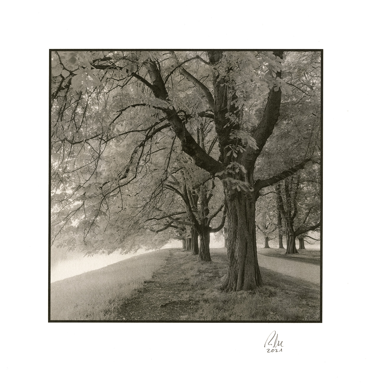 moersch-se-silber-pop-lobotype-edeldruck-set image 8