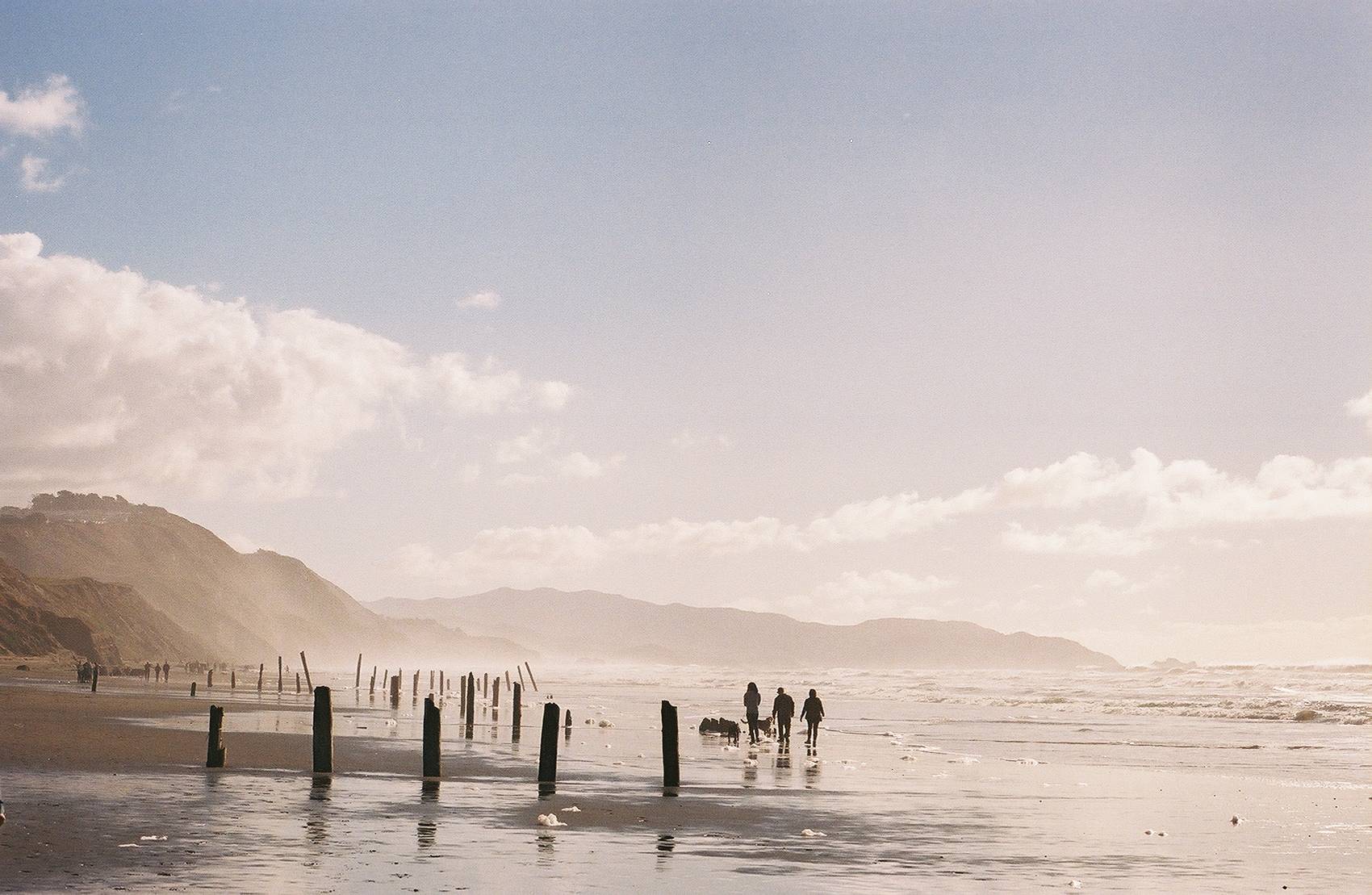 pentax-spotmatic-sp-spiegelreflexkamera-35mm-mit-55mm-f-1-8 image 5