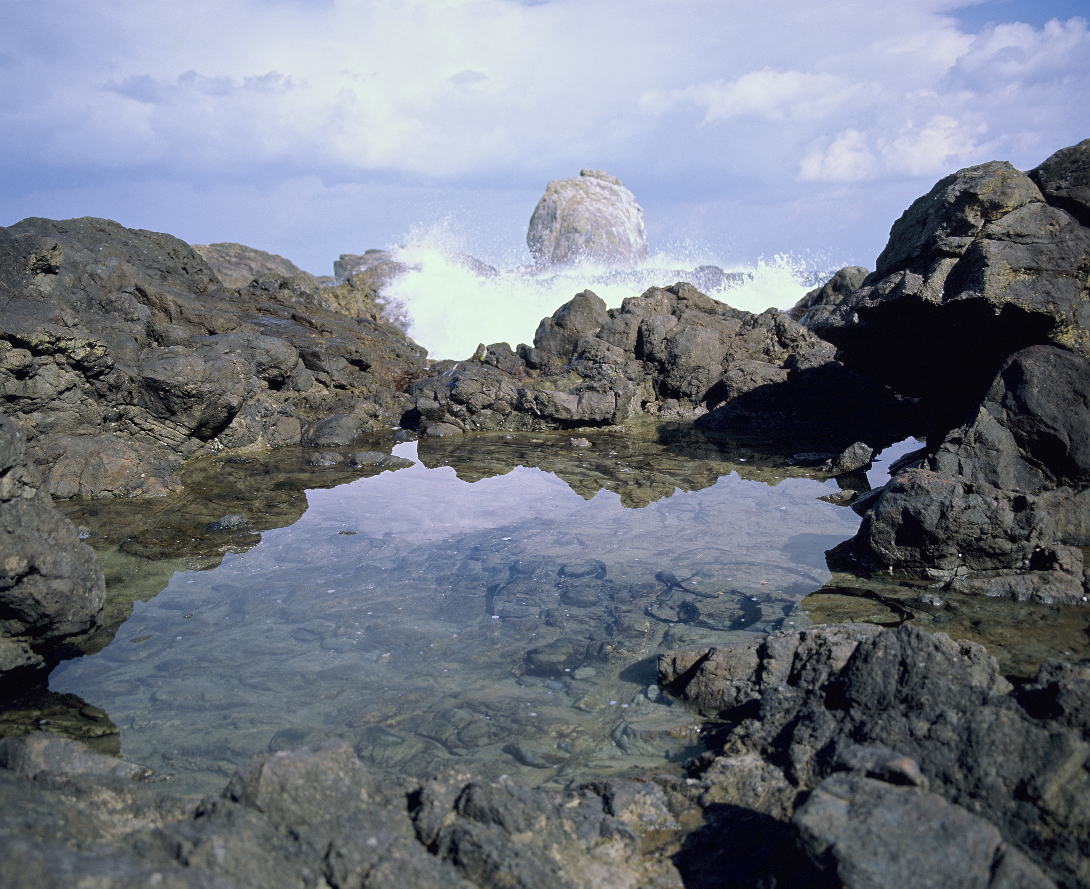 kodak-ektachrome-e100-diafilm-120-iso-100-farbumkehrfilm image 3
