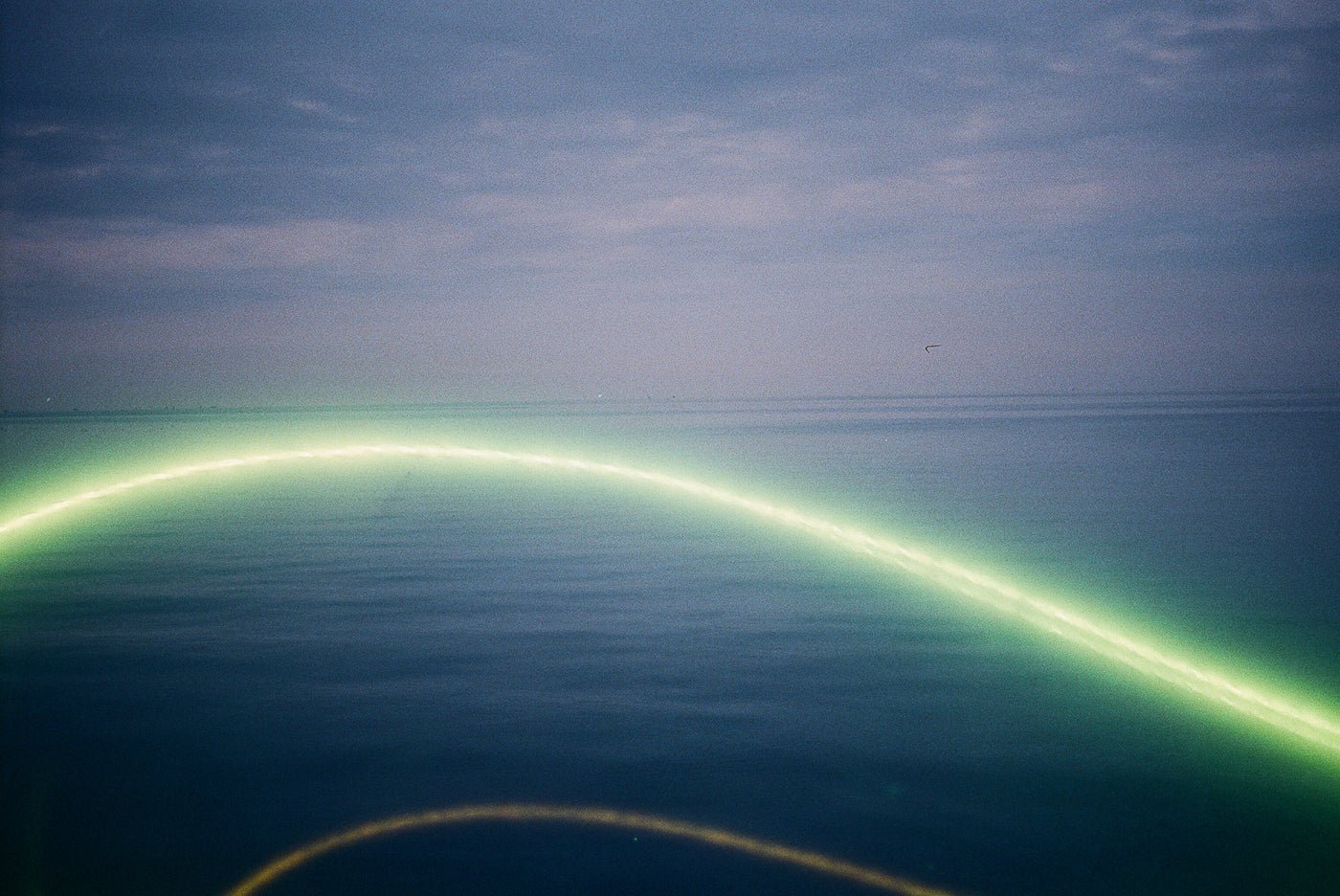 revolog-lazer-35mm-farbfilm-36er-mit-linien image 3