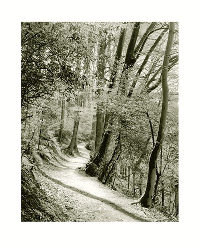 moersch-se-se2-warm-positiventwickler-papier-warmton image 7
