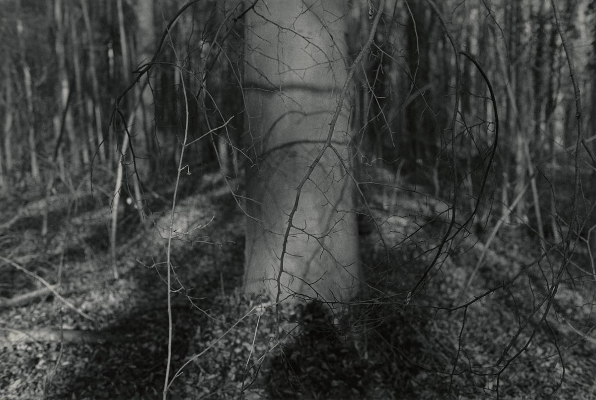 moersch-tanol-eco-film-developer-negativentwickler-feinkorn image 5