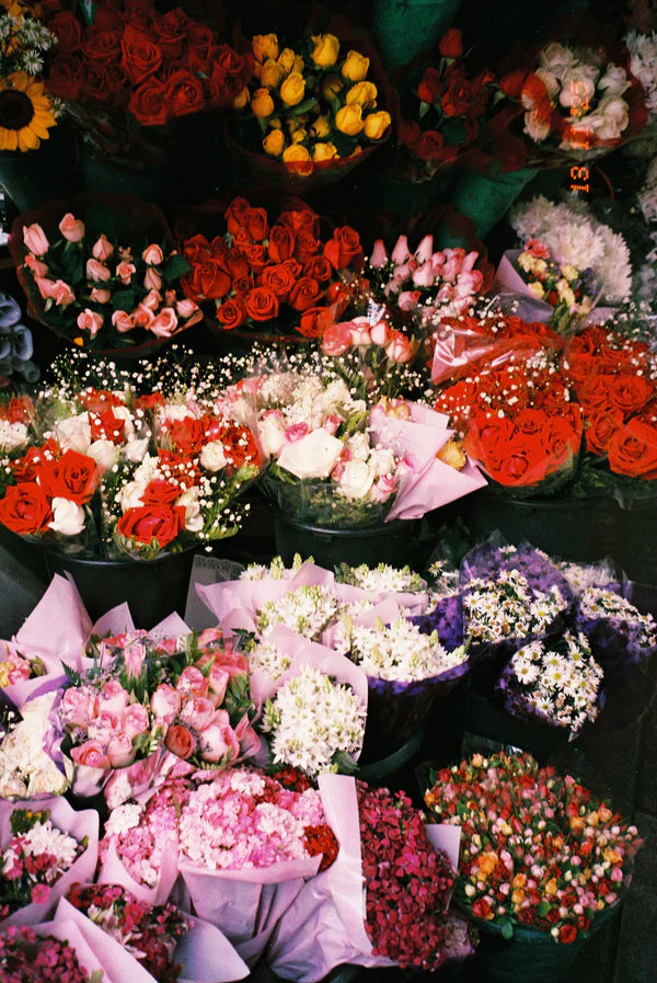 lucky-c200-farbfilm-35mm-iso-200-36er-warme-farben image 5