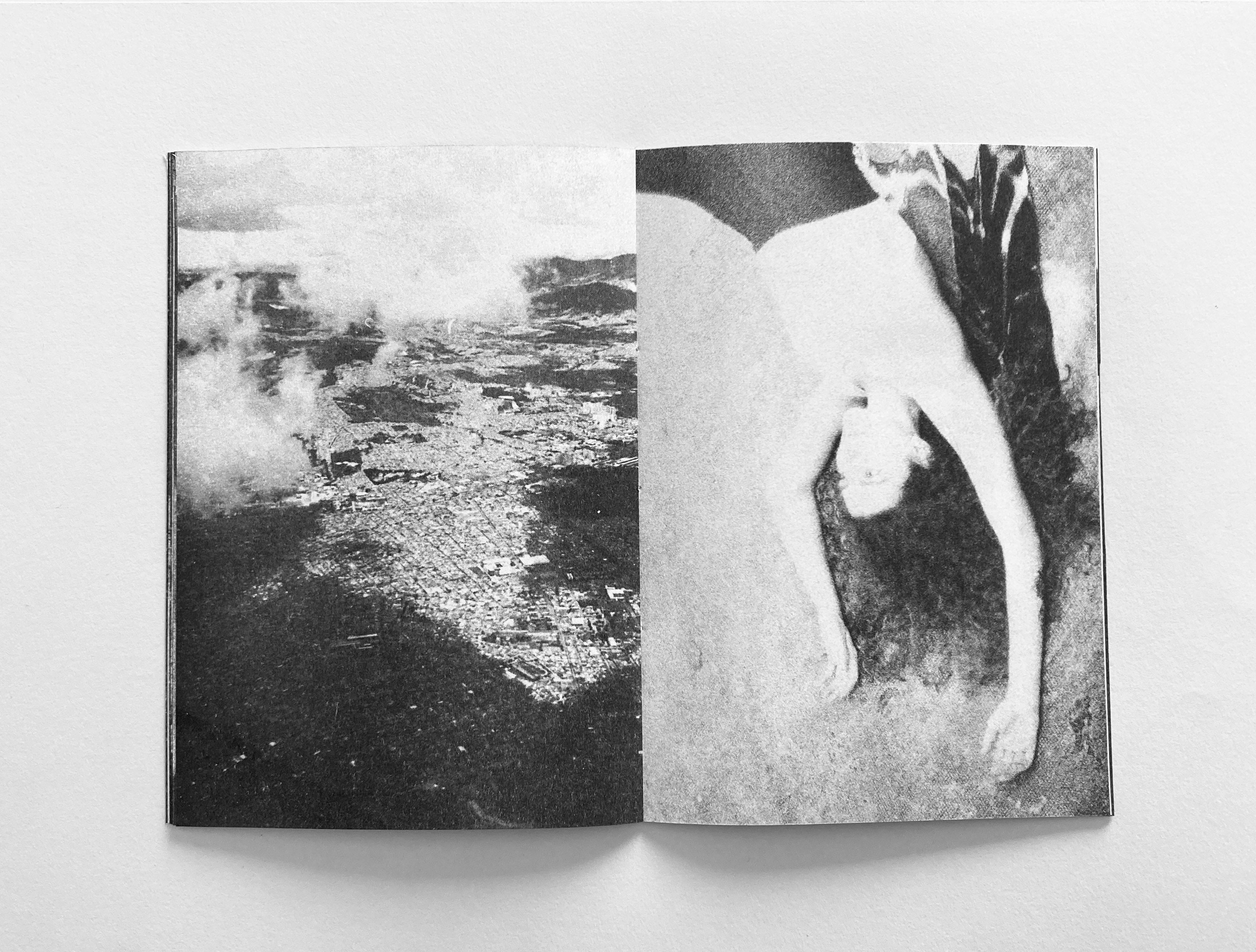 dubblefilm-books-toute-entiere-zine-riso-edition-50 image 3