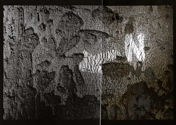 moersch-ats-lobostab-netzmittel-stabilisator-archivschutz image 2