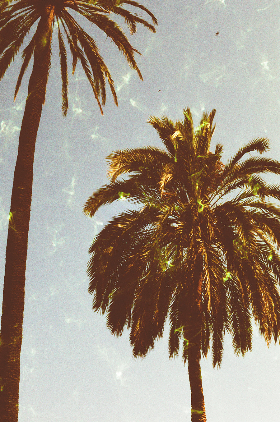 revolog-emerald-effektfilm-35mm-harman-phoenix-gr-n image 7