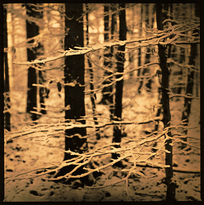 moersch-lith-omega-zweitbad-farbverst-rker-lith image 3