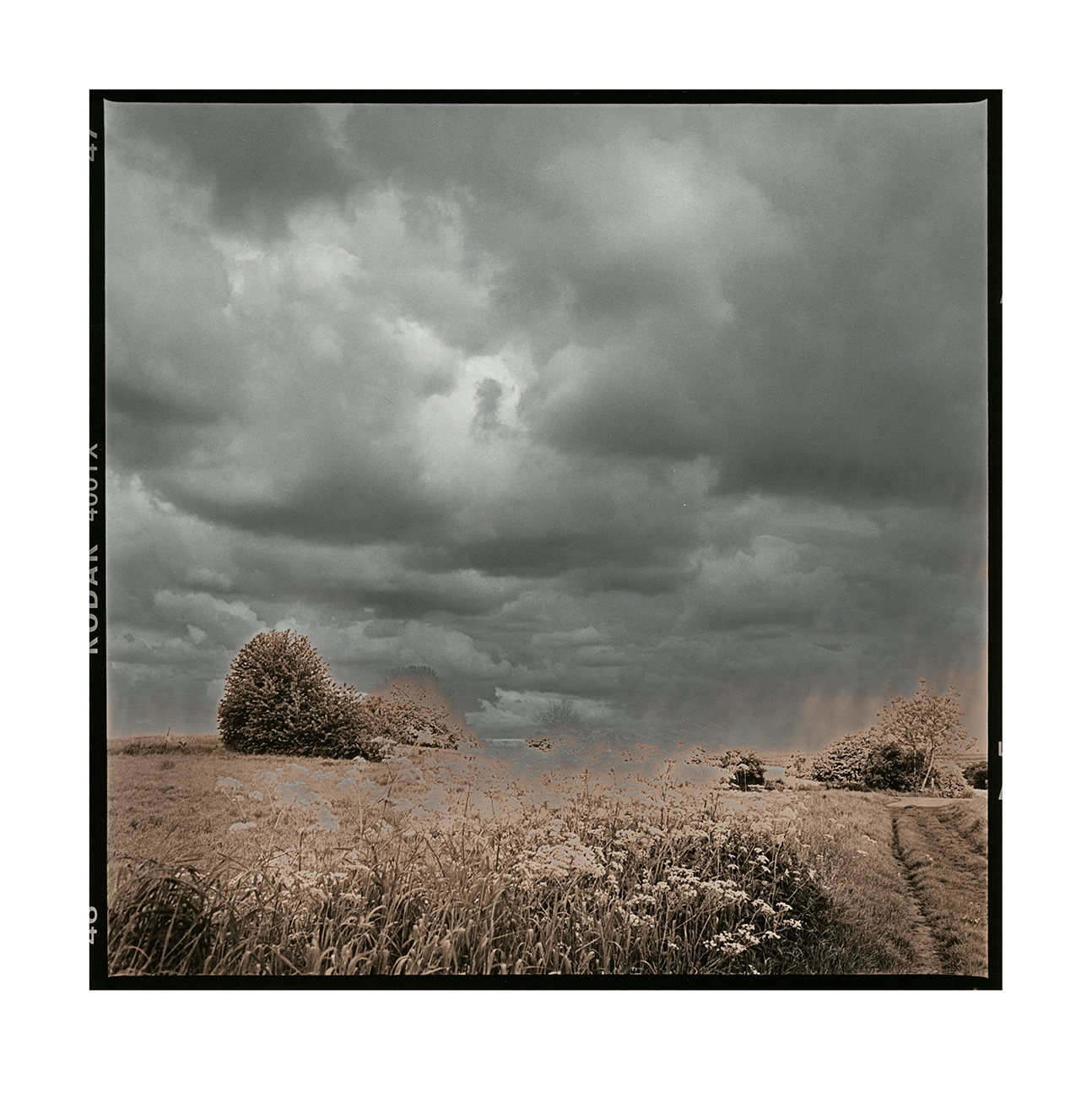moersch-lith-redev-umentwicklung-lithentwickler-kit-bleicher image 2