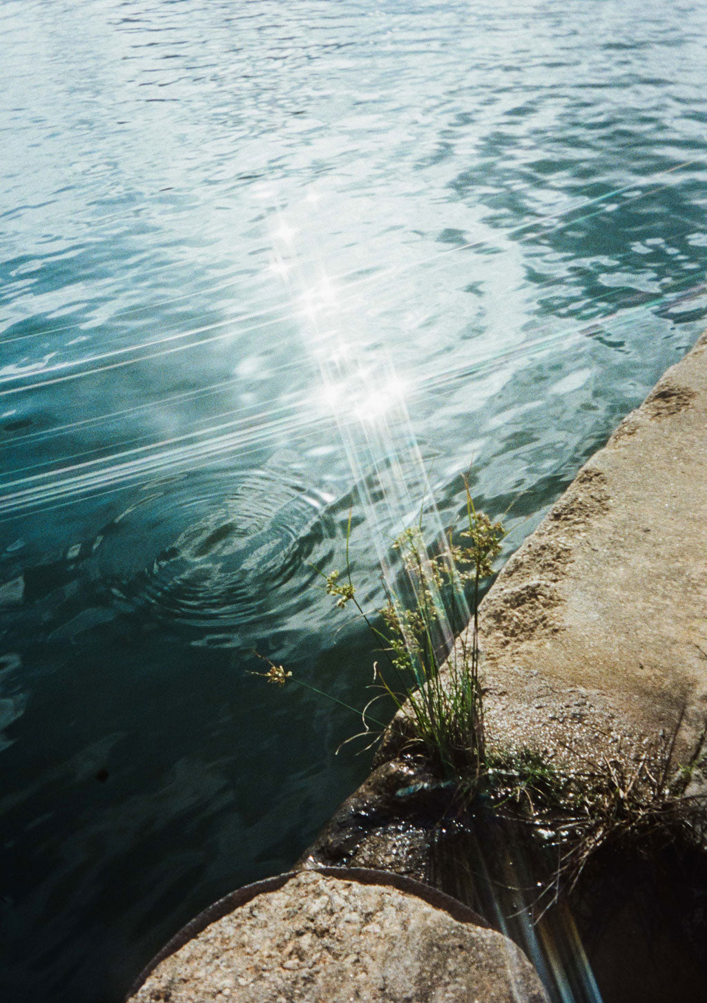 kodak-ektar-h35-halbformatkamera-35mm-silber-mit-blitz image 3