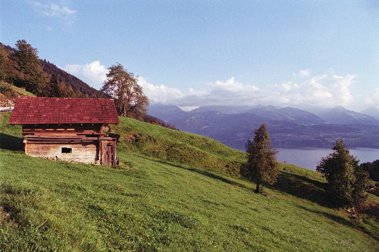 minolta-x-7-spiegelreflexkamera-analog-55mm-f-1-7-objektiv image 2