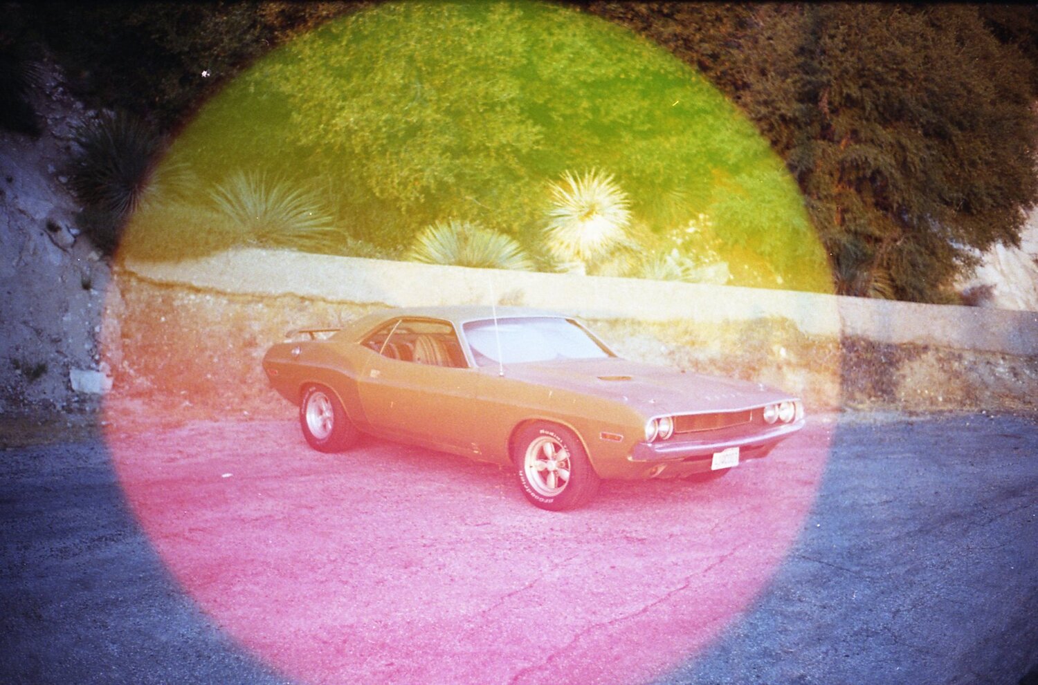 psych-blues-6-iso-400-35mm-farbfilm-24-aufnahmen-c41-effekt image 5