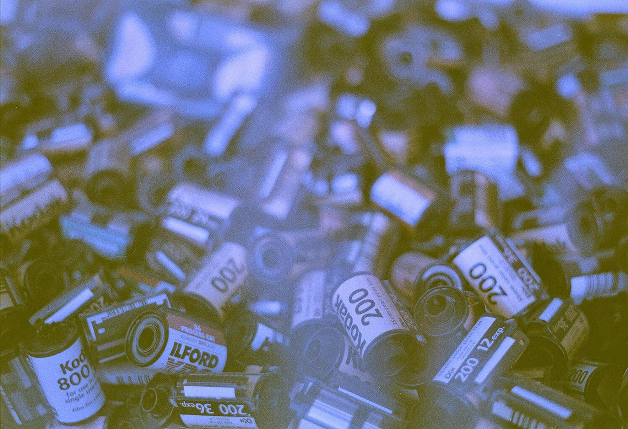 revolog-460nm-effektfilm-35mm-200-iso-36-bilder-violett image 4
