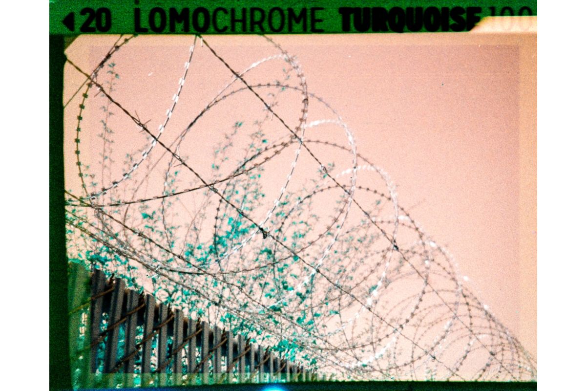 lomography-lomochrome-turquoise-110-film-24-aufnahmen-iso-100-400 image 4