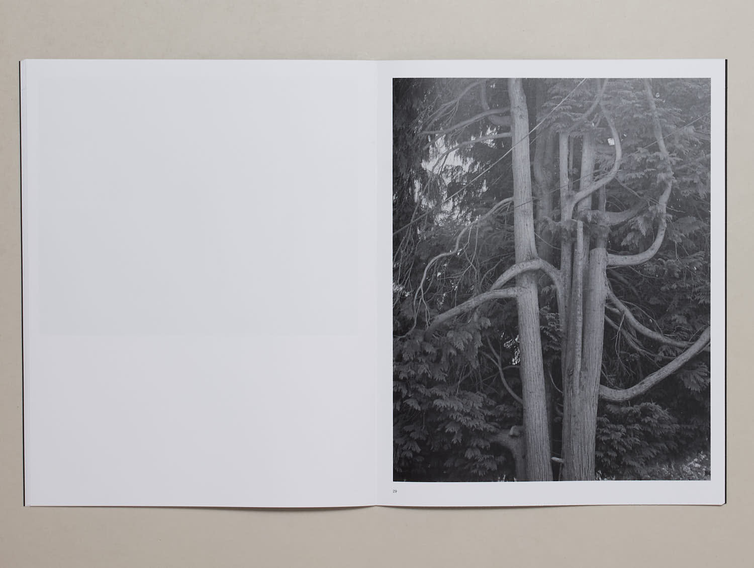 sky-wilson-vecinos-fotobuch-portr-t-softcover image 4